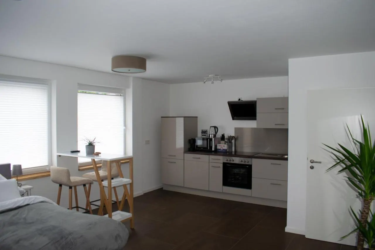 Unique Flat Apartment Dusseldorf 0*,