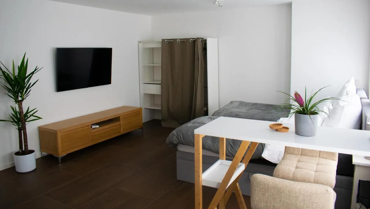 Unique Flat Apartment Dusseldorf Germany