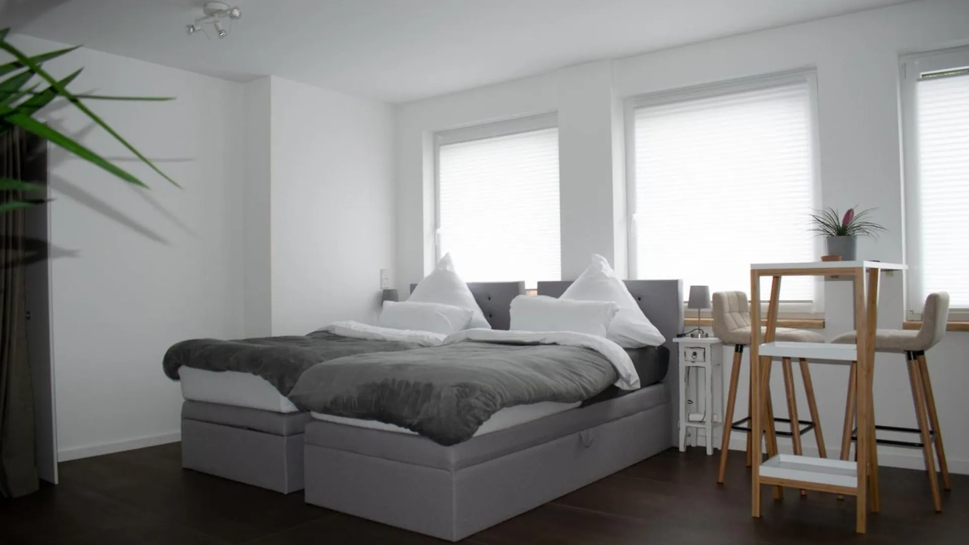 Unique Flat Apartment Dusseldorf